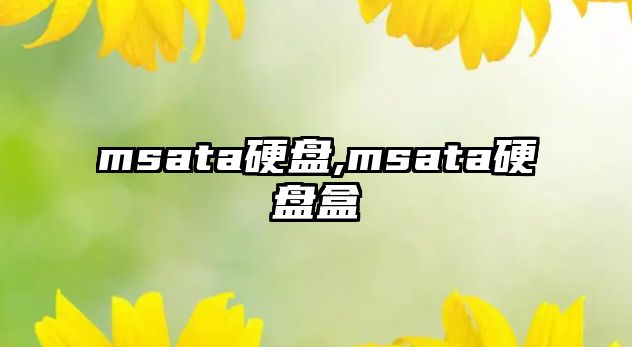 msata硬盤(pán),msata硬盤(pán)盒