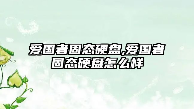 愛國者固態(tài)硬盤,愛國者固態(tài)硬盤怎么樣