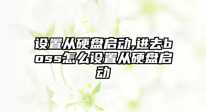 設置從硬盤啟動,進去boss怎么設置從硬盤啟動