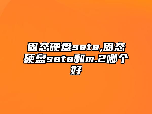 固態(tài)硬盤sata,固態(tài)硬盤sata和m.2哪個好