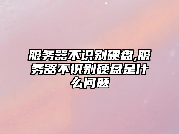 服務器不識別硬盤,服務器不識別硬盤是什么問題